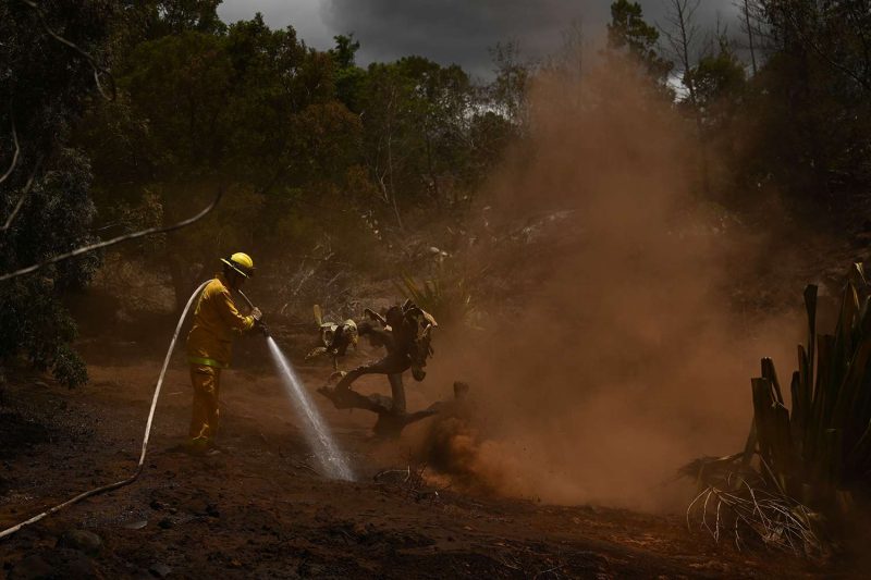 Inc&ecirc;ndio no Hava&iacute; &eacute; o mais mortal dos Estados Unidos – Foto: Reprodu&ccedil;&atilde;o/People/ND