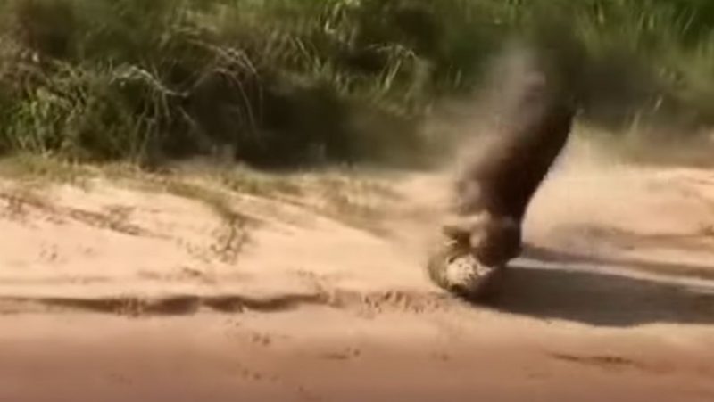 Duelo teve lances incr&iacute;veis, parecendo confronto de artes marciais – Foto: Reprodu&ccedil;&atilde;o