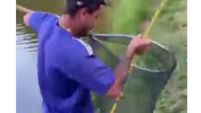 Pacu carregado pelo pescador dentro de cesto, após ser retirado da água