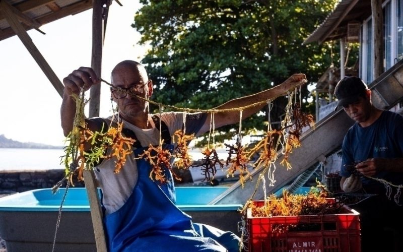 Floripa Conecta: gastronomia, artes e divers&atilde;o s&atilde;o destaques do primeiro fim de semana – Foto: Fecom&eacute;rcio/Divulga&ccedil;&atilde;o/ND