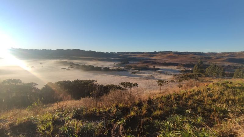 Campos na cidade de São Joaquim, na Serra catarinense amanheceram cobertos de gelo por conta da geada.