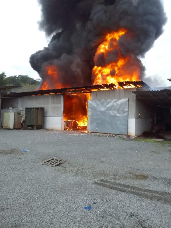 Incêndio atinge fábrica de colchões para pets em Blumenau