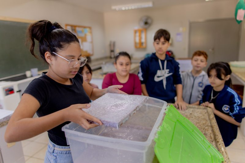 Estudantes passam por todas as etapas de produção do papel reciclado