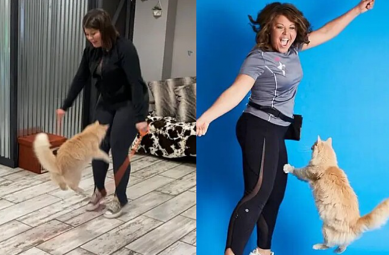 Gato entra para o livro dos recordes pulando corda: 9 vezes em 1 minuto! – Foto: Guinness World Records/Reprodu&ccedil;&atilde;o/ND