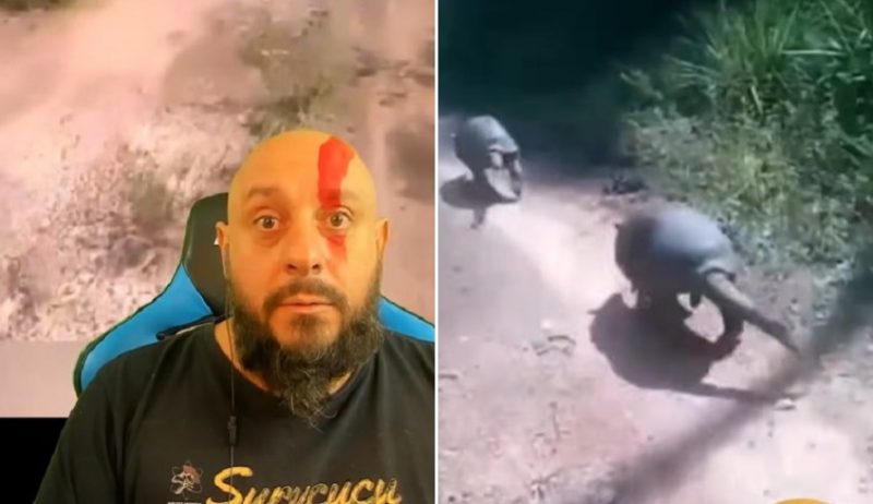 Biólogo reprovou comportamento de motociclista que perseguiu e filmou animal em fuga - Foto: Redes Sociais/Divulgação/ND