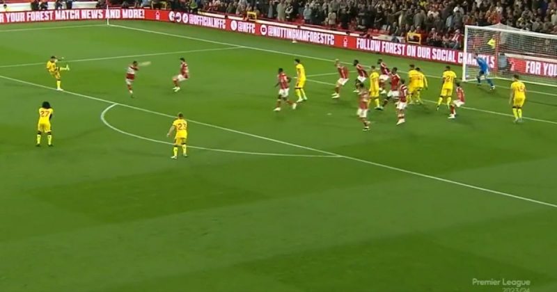 Catarinense de Itajaí, Gustavo Hamer estreia com gol mais bonito da Premier League