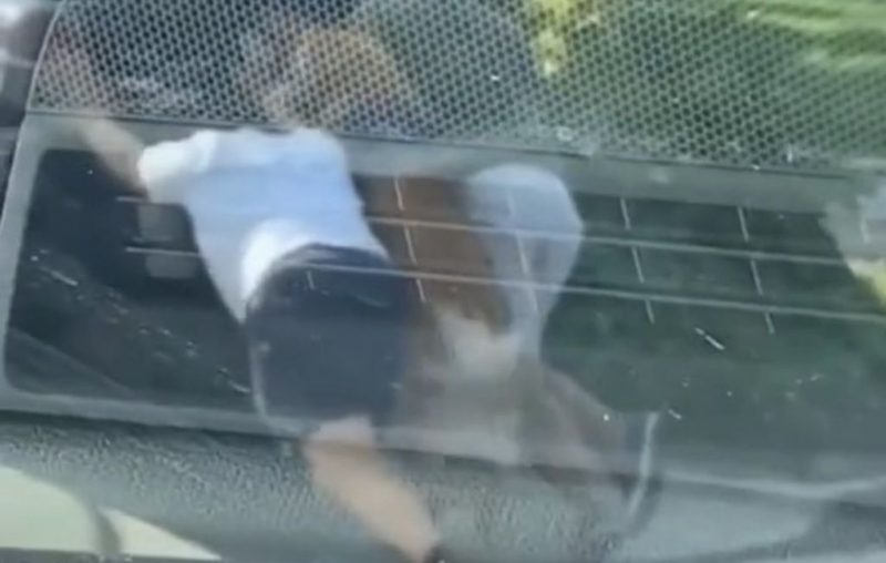 Golden prestativo ajuda familiares a empurrar carro quebrado