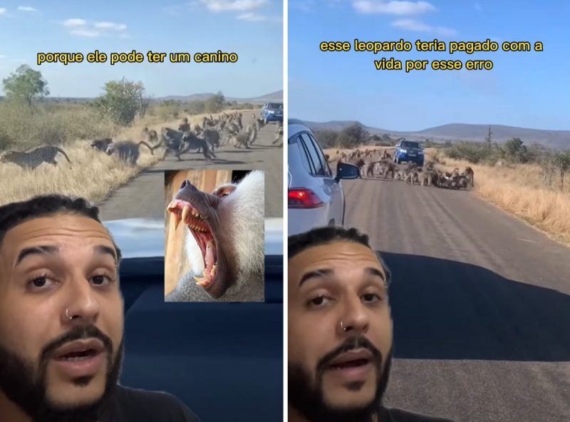 Especialista explicou o porquê de ataque bizarro de leopardo ter quase acabado na morte do felino - Foto: @biomesquita/Redes Sociais/Divulgação/ND