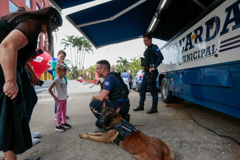 Horus &eacute; o primeiro c&atilde;o em treinamento para integrar o canil – Foto: Prefeitura de Joinville/Divulga&ccedil;&atilde;o/ND