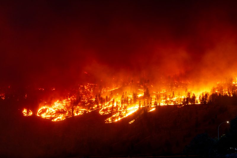 Incêndios criminosos e provocados por seca extrema