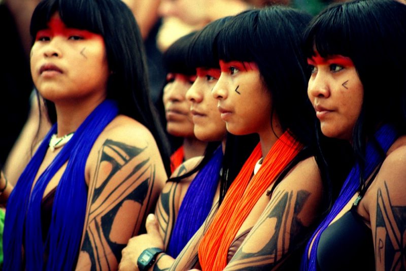 IBGE registra 1,7 milh&atilde;o de ind&iacute;genas no pa&iacute;s, 21 mil em Santa Catarina – Foto: Anne Vilela