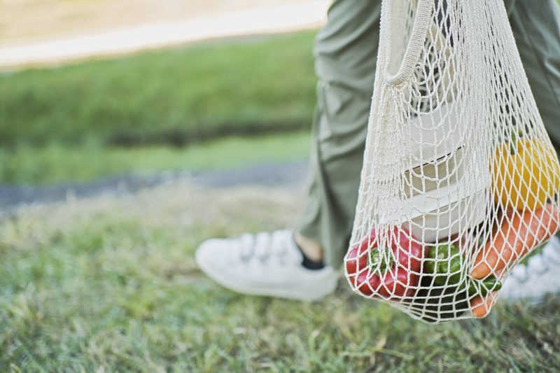 ecobags, caixas, sacolas biodegradáveis, o importante é diminuir o uso do plástico