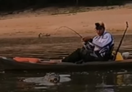 Jacaré surpreende pescadores
