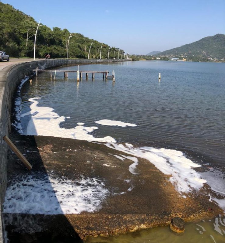 Foto mostra espuma branca gerada por esgoto em uma lagoa