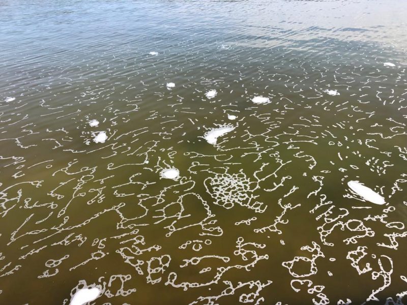 Pesquisadores vão analisar água da lagoa