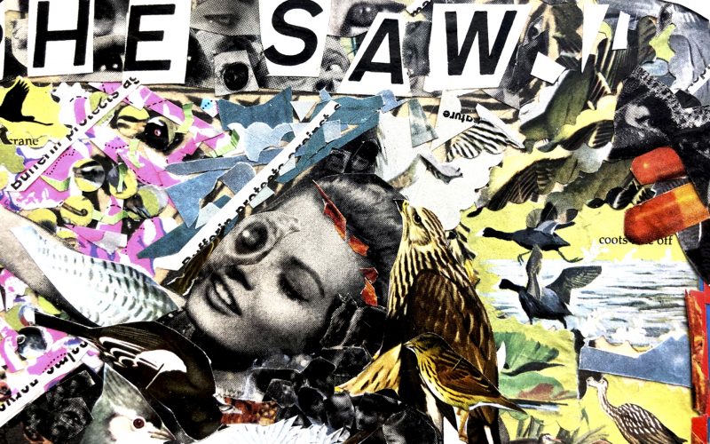 At&eacute; o dia 20 de agosto o Festival Lambe Floripa movimenta o Centro Integrado de Cultura – Foto: divulga&ccedil;&atilde;o