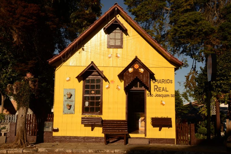 Mel de Melato de Bracatinga: o ouro negro de S&atilde;o Joaquim – Foto: Prefeitura de S&atilde;o Joaquim/Divulga&ccedil;&atilde;o