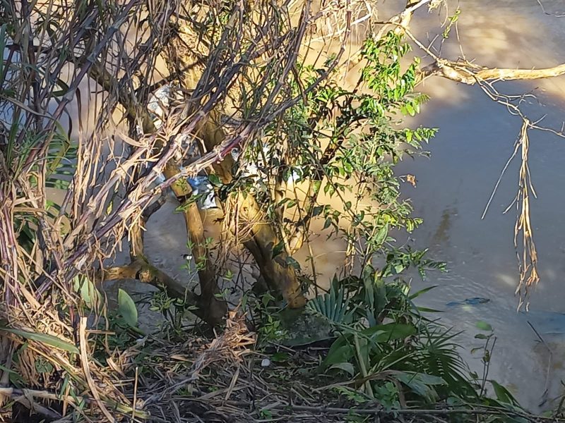 Motorista perdeu o controle ap&oacute;s uma curva e capotou – Foto: Daniel Fernandes/ND