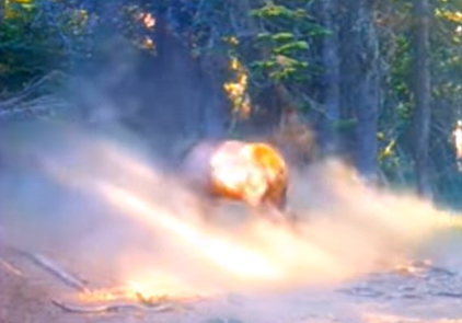 Onça-parda é pisoteada por cervo