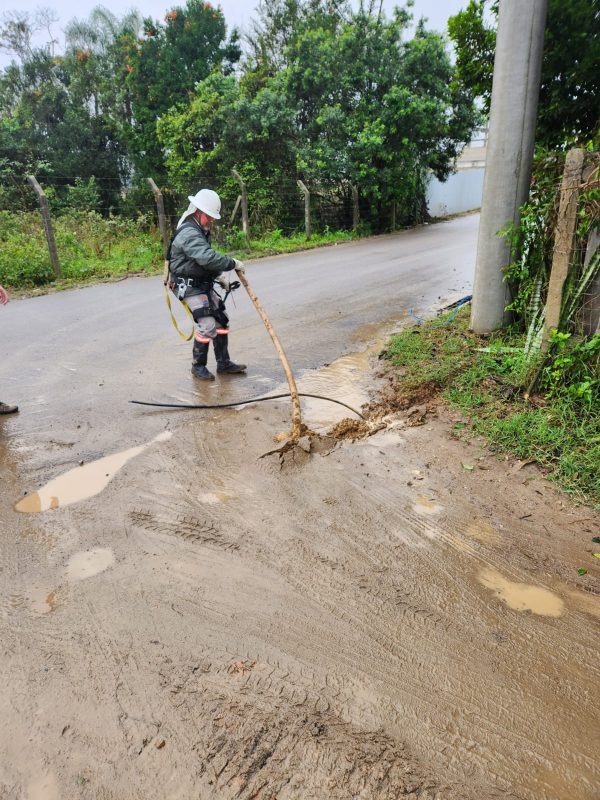 Casas em &aacute;reas de preserva&ccedil;&atilde;o s&atilde;o derrubadas durante opera&ccedil;&atilde;o em Itapema – Foto: PMSC/Divulga&ccedil;&atilde;o/ND