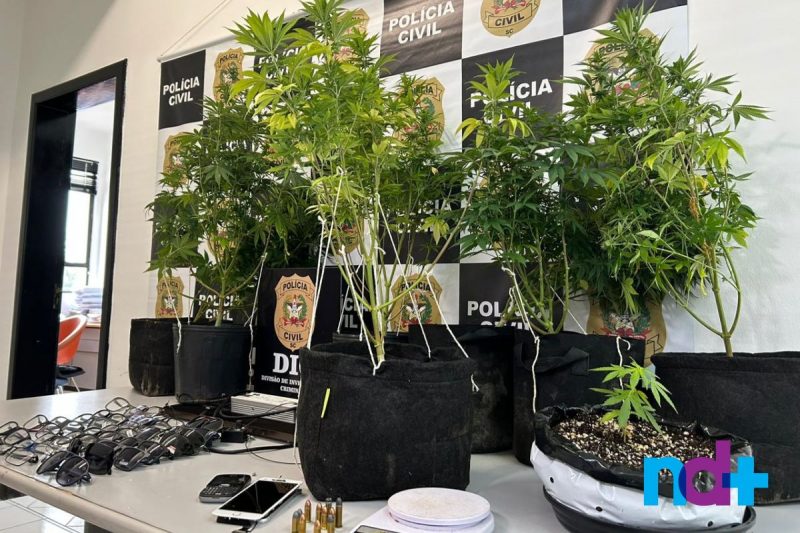 Ao todo, 16 mandados de busca e apreens&atilde;o foram cumpridos – Foto: Felipe Bambace/NDTV