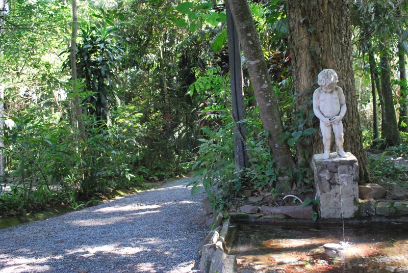 À direita da imagem um chafariz e à esquerda uma pequena trilha em meio a árvores no Horto-Botânico de Blumenau