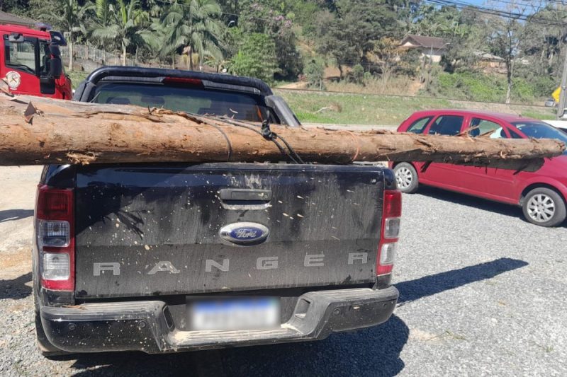 Caso aconteceu no bairro Nova Bras&iacute;lia nesta quarta-feira (2) – Foto: Divulga&ccedil;&atilde;o/ND