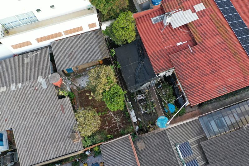 combate a dengue em chapecó