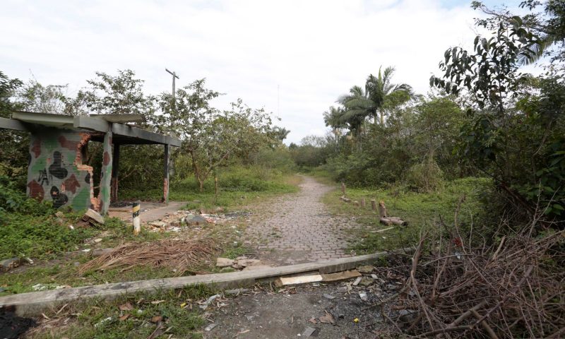 Ponte far&aacute; a liga&ccedil;&atilde;o vi&aacute;ria entre as ruas Coronel Francisco Gomes e Nacar – Foto: Prefeitura de Joinville/Divulga&ccedil;&atilde;o