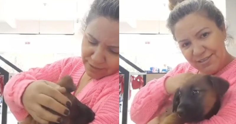 Momento angustiante foi registrado pela mulher responsável pelo resgate