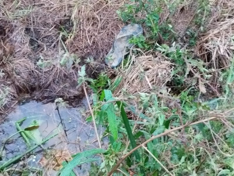 Criança desaparece e bombeiros são acionados para resgatá-la em Rio do Sul