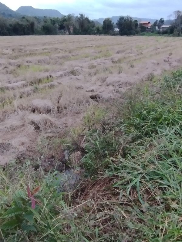 As equipes do Corpo de Bombeiros Militar foram acionadas para atender uma suspeita de afogamento de crian&ccedil;a&nbsp; – Foto: Corpo de Bombeiros Militar/Reprodu&ccedil;&atilde;o ND