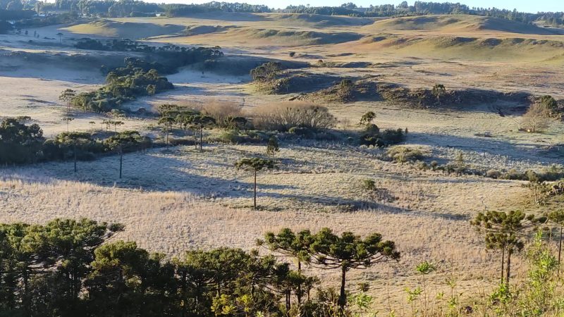 Campo com geada por conta tempo em SC