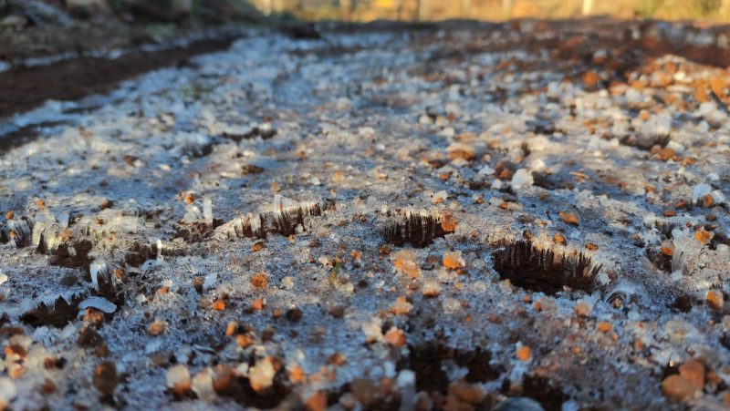 SC terá geada ampla no fim de semana