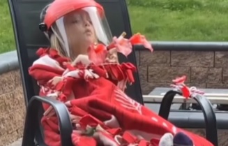 Menina usa criatividade e se fantasia de flor para ver ave 