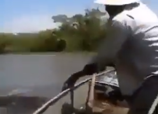 Pescador pega sucuri pelo rabo