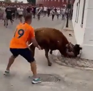 A distracted woman with a mobile phone is attacked by an angry bull;  see pictures - Disclosure/Reproduction/ND