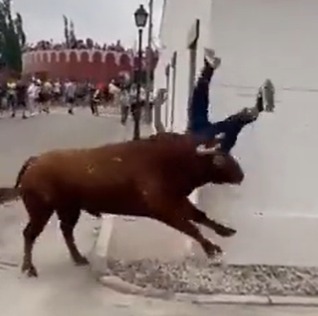 A distracted woman with a mobile phone is attacked by an angry bull;  see pictures - Disclosure/Reproduction/ND