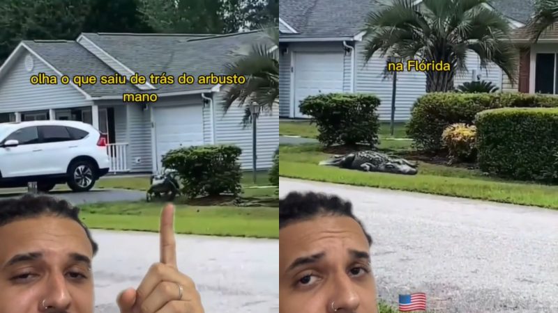 Jacaré é flagrado tirando soneca no sol em jardim na Flórida