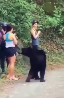 Elas ficaram como est&aacute;tuas com medo de serem atacadas – Foto: Rede social/Reprodu&ccedil;&atilde;o ND