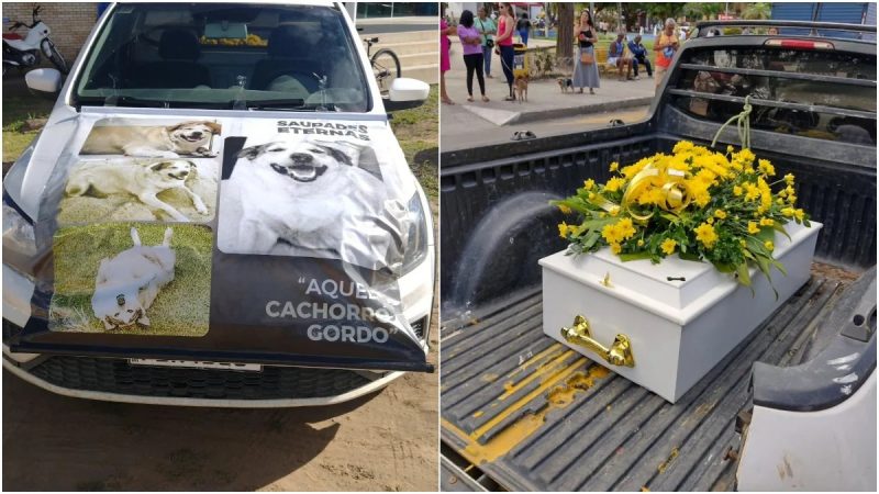 Gordo morreu na última terça-feira de insuficiência renal