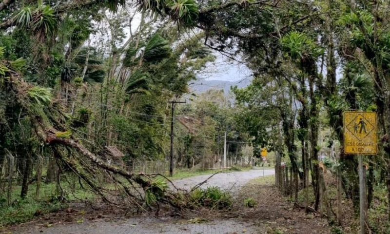 Ciclone extratropical traz rajadas de vento de até 70 km/h para Joinville