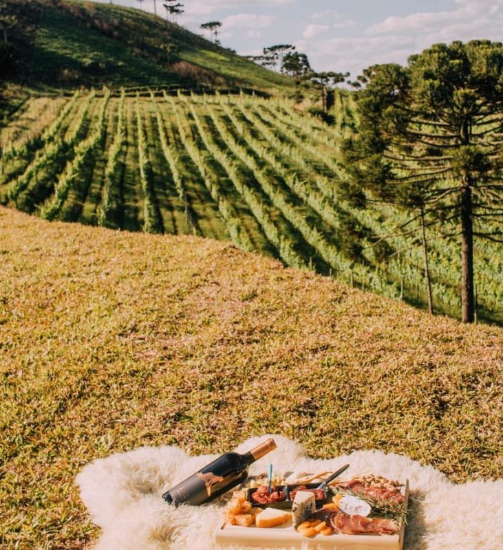 Foto de uma das vinícolas em Santa Catarina, a Quinta da Neve - em São Joaquim. A imagem mostra uma tábua de frios com um vinho ao lado. Ambos estão posicionados em um gramado por vista para os parreirais da vinícola e um morro ao fundo. Na lateral aparece uma araucária. 