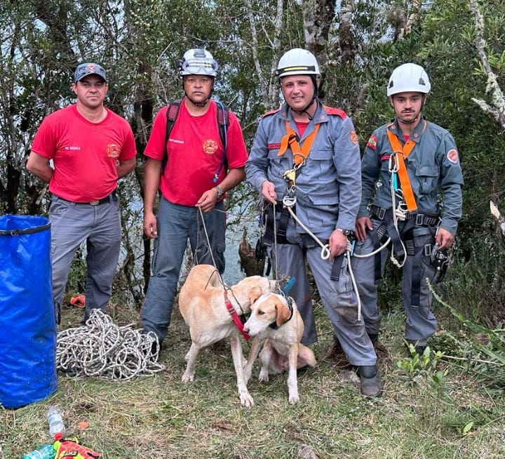 Firefighters rescue two dogs who fell from a cliff about 200 meters high.  – Photo: CBMSC/Disclosure/ND