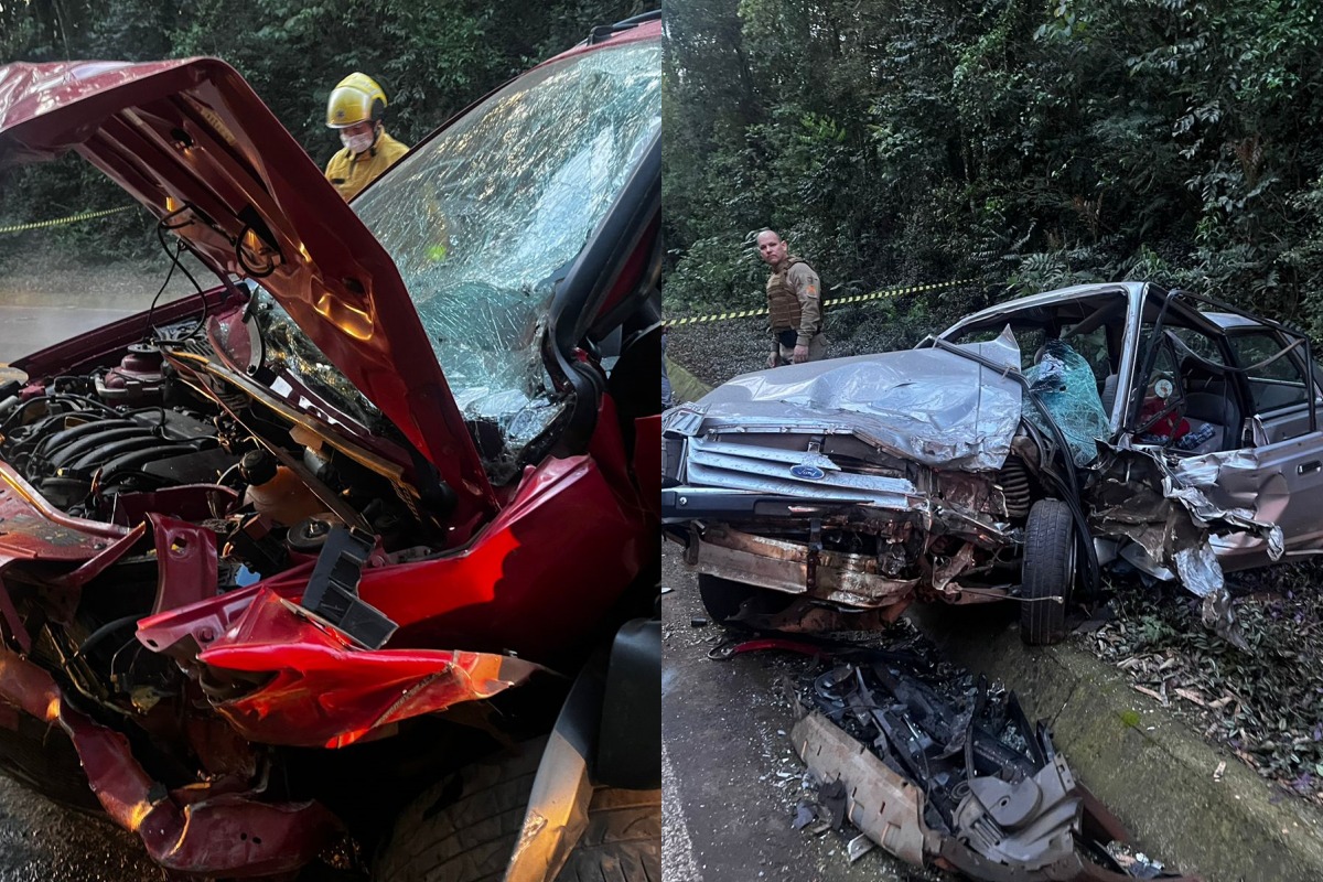 Motorista morre em violenta colisão na SC-283, em Guatambu