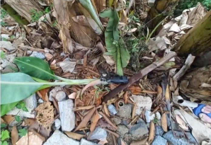 Arma é encontrado por morador em Blumenau