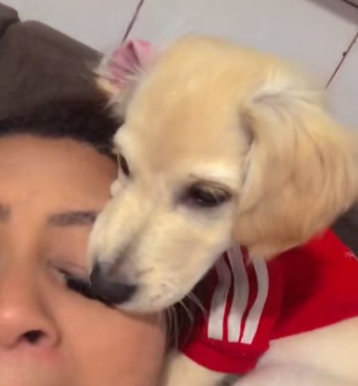O vídeo da cachorra chamada Belinha fez sucesso na internet e já acumula mais de 670 mil visualizações 
