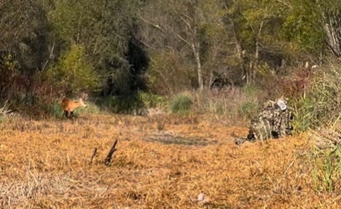 Um v&iacute;deo revelou como ficam os fot&oacute;grafos no momento em que se preparam para o trabalho. – Foto: Tomás Thibaud/Reprodu&ccedil;&atilde;o/ND