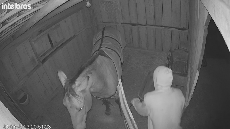 Caso foi denunciado pelo propriet&aacute;rio que tomou conhecimento atrav&eacute;s das c&acirc;meras de seguran&ccedil;a – Foto: Arquivo Pessoal/ND