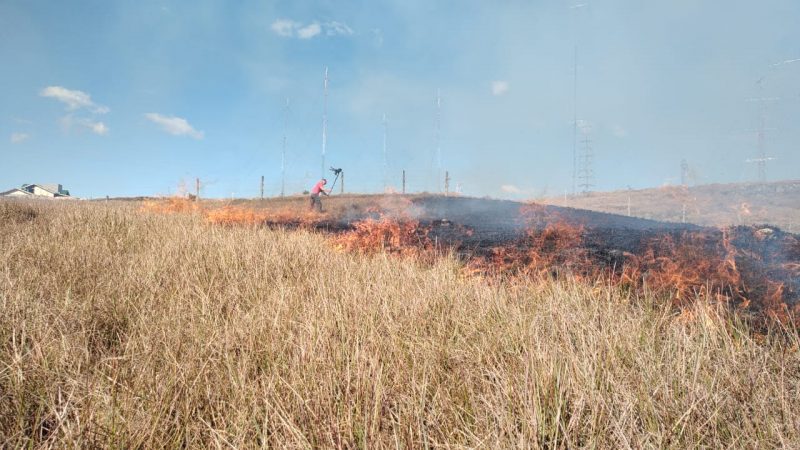 Fogo atingiu cerca de 5 hectares de mata rasteira – Foto: CBMSC/Reprodu&ccedil;&atilde;o/ND